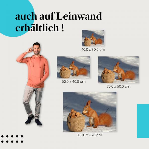 Eichhörnchen im Winter: Leinwandbild. Niedliches Motiv, wähle deine Größe!