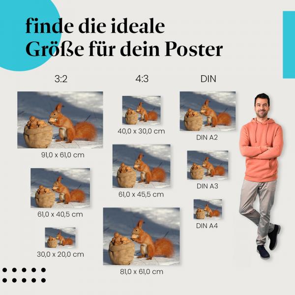 Finde die ideale Postergröße: Eichhörnchen im Schnee mit Walnuss, Wintervorrat.