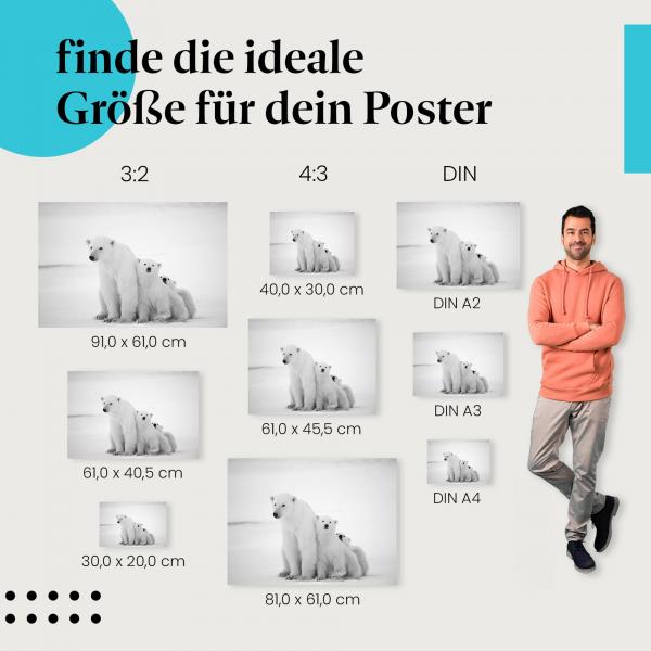 Eisbärfamilie Poster: Arktische Tierwelt - Poster in verschiedenen Größen.