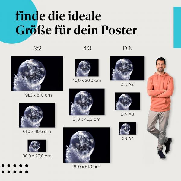 Wähle die ideale Postergröße: Gefrorene Seifenblase mit Eiskristallen und Schneeflocke.