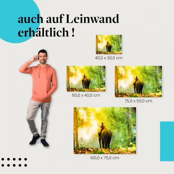 Elefant: Leinwandbild. Mann, Dschungel, Sonnenlicht.