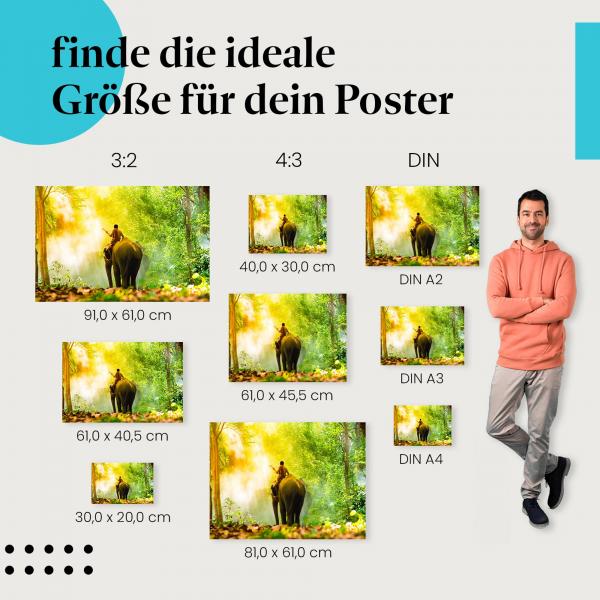 Elefant, Poster: Mann, Dschungel, Sonne, grün.