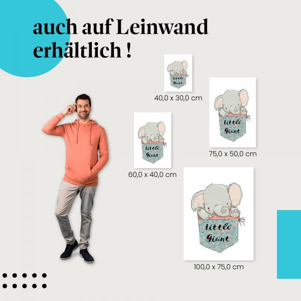 Elefant: Leinwandbild. "Little Giant", niedlich.