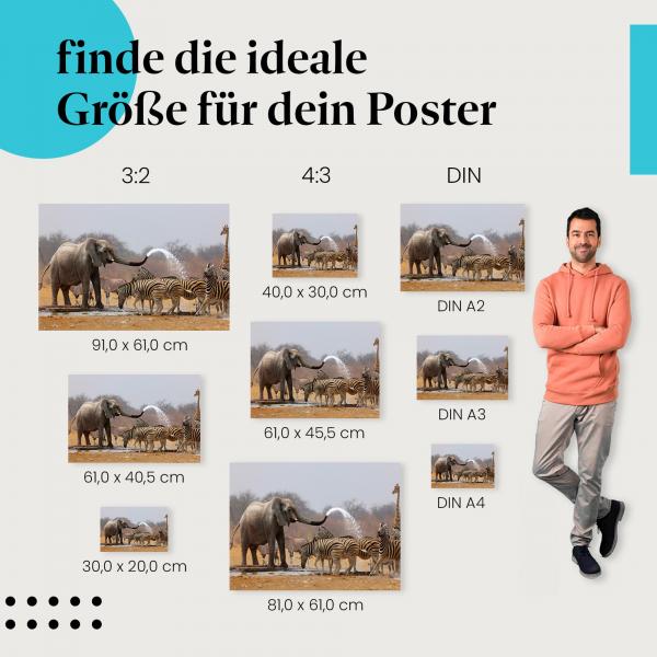 Elefanten & Zebras am Wasserloch Poster: Afrikanische Tierwelt - jetzt Größe wählen!