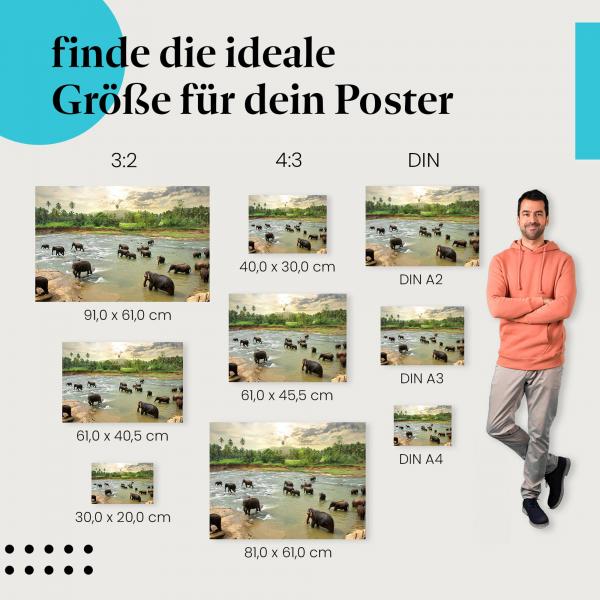 Finde die ideale Postergröße: Elefantenherde durchquert Fluss, tropische Landschaft.