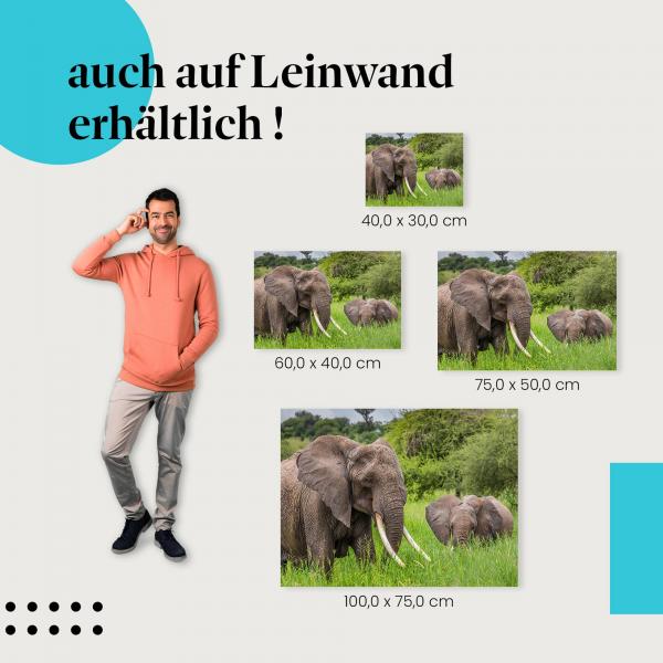 Elefanten: Leinwandbild. Mutter & Kalb, Savanne, friedlich.