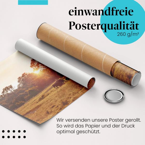 Gerolltes Poster "Elefantenherde". Wildlife & Natur, sicher verpackt.