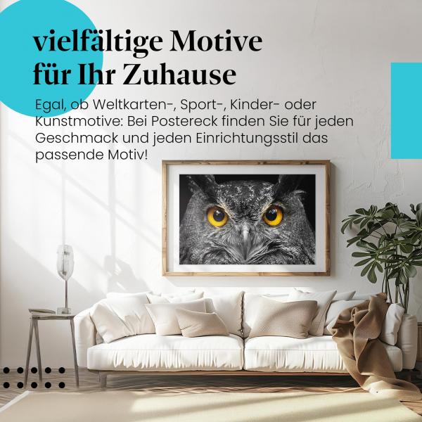 Faszinierende Augen: Poster "Eule" zieht alle Blicke im Wohnzimmer auf sich.