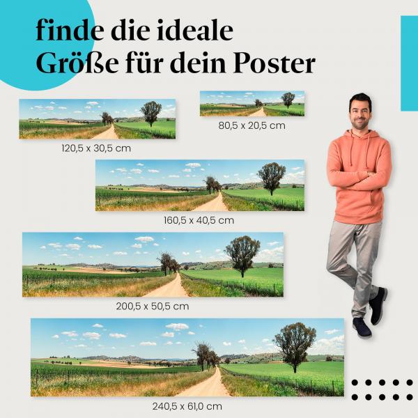 Finde die perfekte Postergröße: Feldweg, Felder, Hügel, idyllisch.