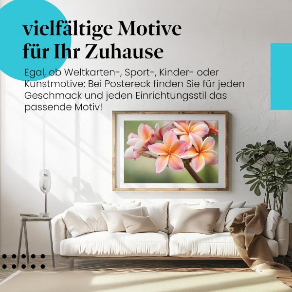 Stylisches Leinwandbild: Frangipaniblüten - Exotische Schönheit.