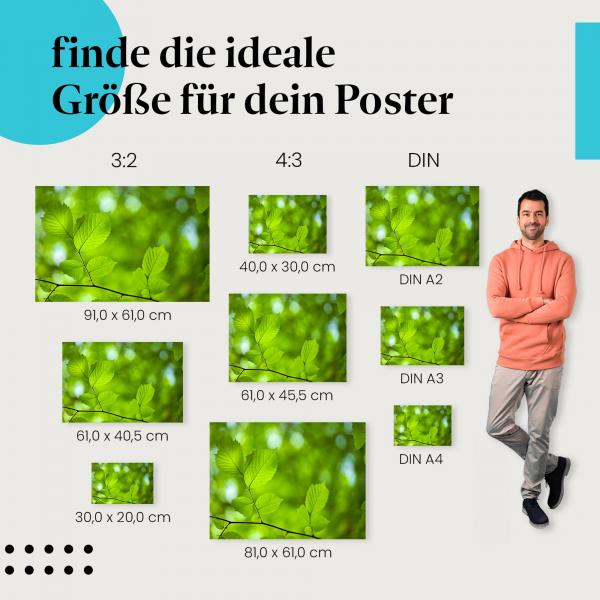 Junge Blätter im Frühling Poster: Frische Natur!