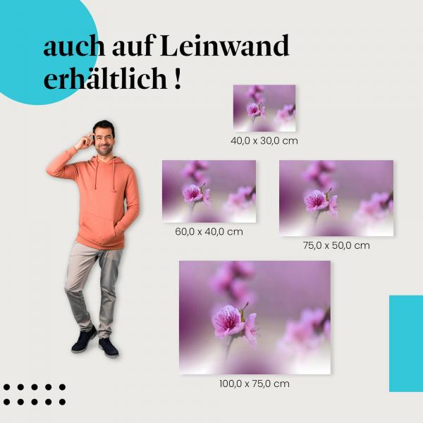 Blüten: Leinwandbild. Rosa, Frühling, romantisch.