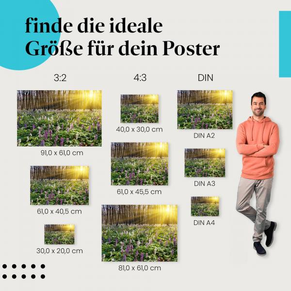 "Frühlingswald im Sonnenlicht": Poster - Frühling, Blumen & Natur