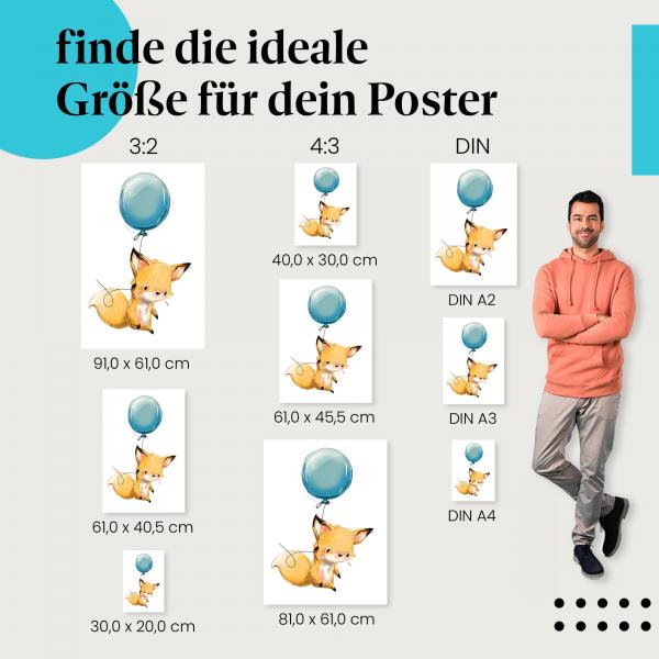 Fuchs, Poster: Ballon, Himmel.