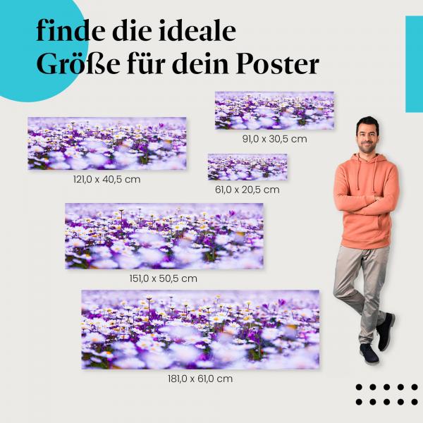 Gänseblümchenwiese Poster: Sommerliches Flair für dein Zuhause!