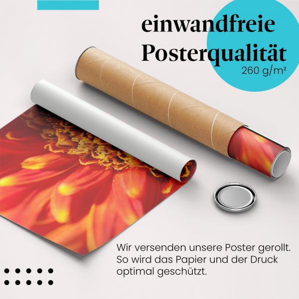 Gerolltes Poster "Rote Gerbera" - Blumiges Design, sicher verpackt.