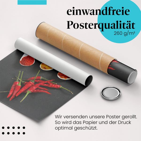 Gerolltes Poster "Gewürze" - Kulinarische Vielfalt, sicher verpackt.