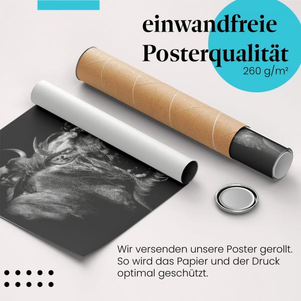 Gerolltes Poster "Gnus". Tierwelt, sicher verpackt.