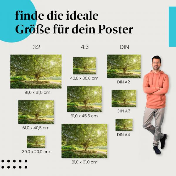 Baum, Poster: Wiese, Schatten, Ruhe.