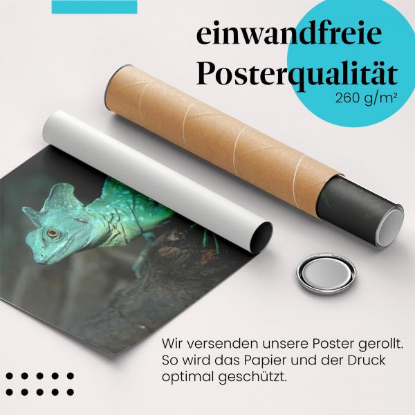 Gerolltes Poster "Basilisk" - Tier & Natur, sicher verpackt.