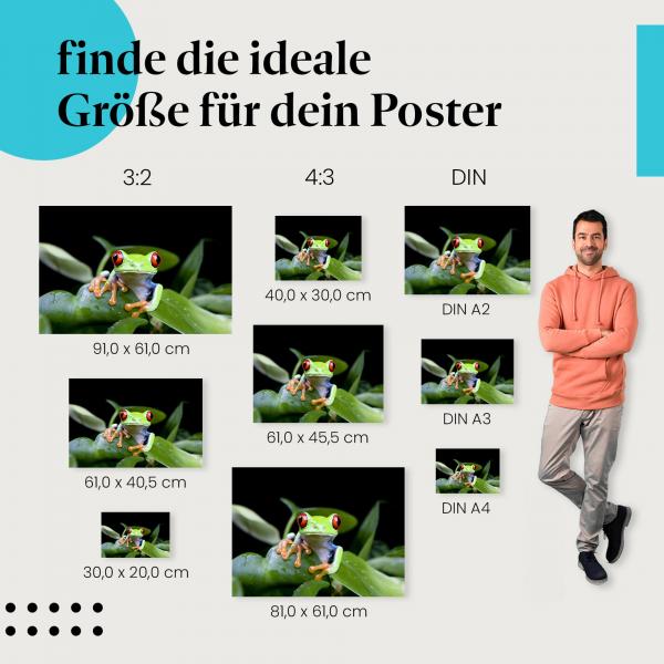 Frosch Poster: Lustige Wanddeko - finde die passende Größe!