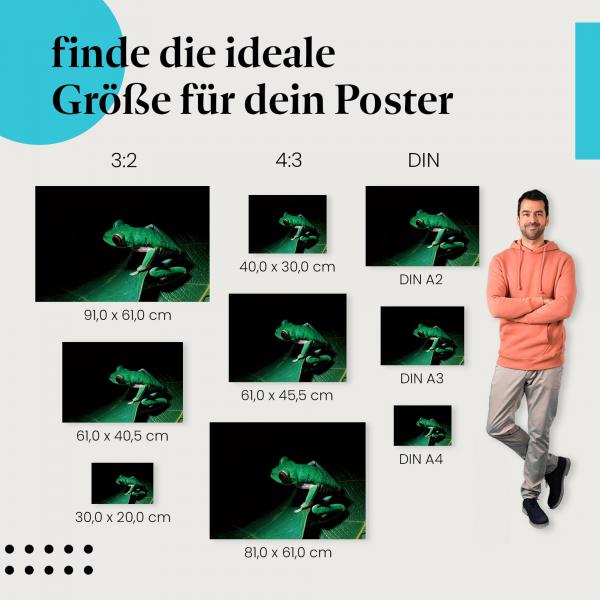 Grüner Frosch Poster: Naturfotografie - finde die ideale Größe!