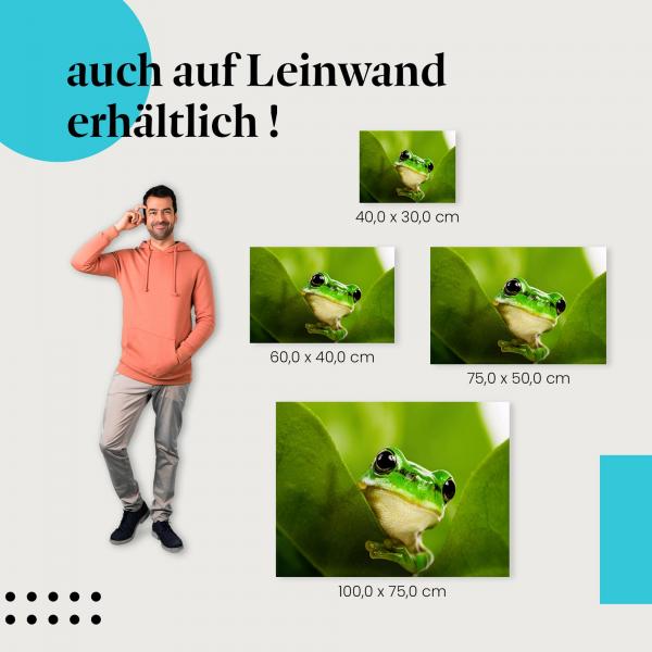 "Versteckter Frosch" Leinwandbild. Ideale Größe, setze Akzente!