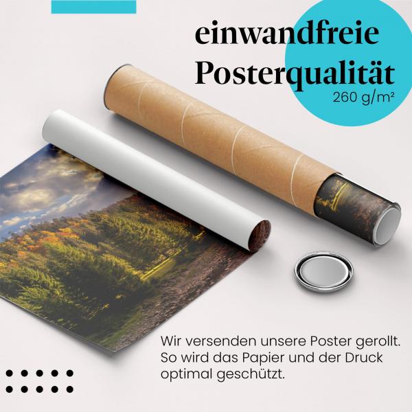 Gerolltes Poster "Herbstlicher Bergbach". Herbstliche Natur, sicher verpackt.