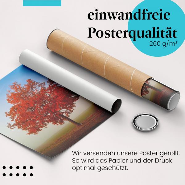 Gerolltes Poster "Herbstlicher Baum" - Herbstliche Stimmung, sicher verpackt.