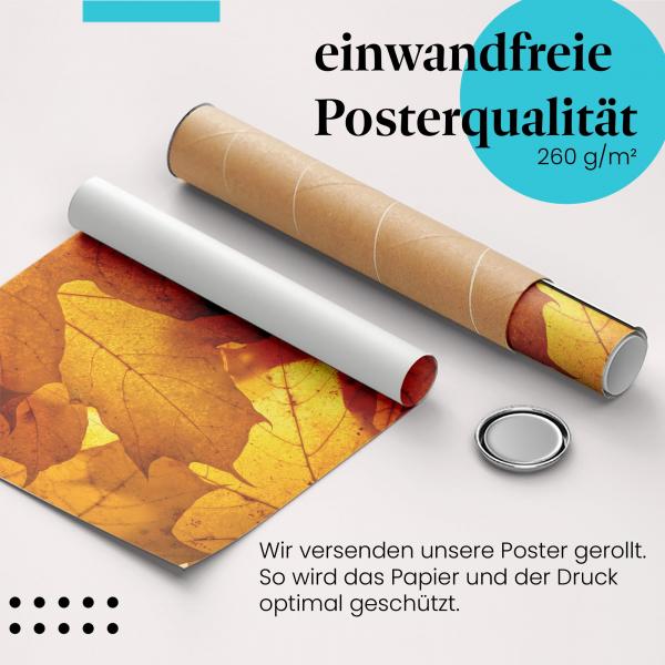 Gerolltes Poster "Ahornblätter". Goldener Herbst, sicher verpackt.