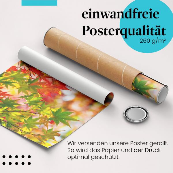 Gerolltes Poster "Herbstlaub" - Herbstliche Farben, sicher verpackt.