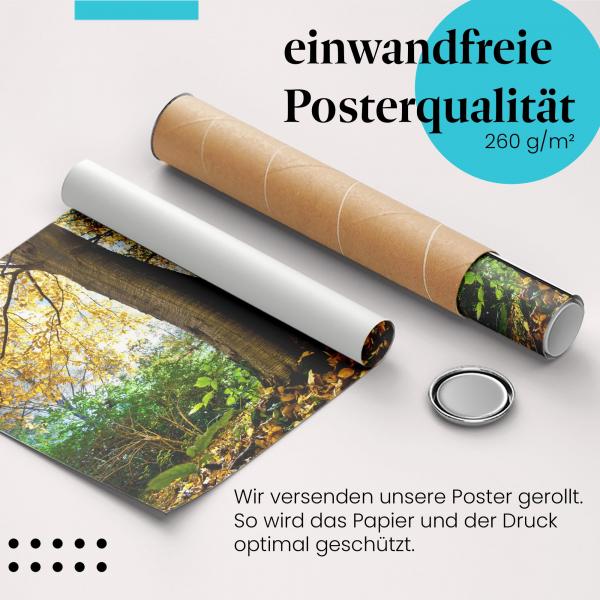 Gerolltes Poster "Herbstlicher Wald", Farbenpracht.