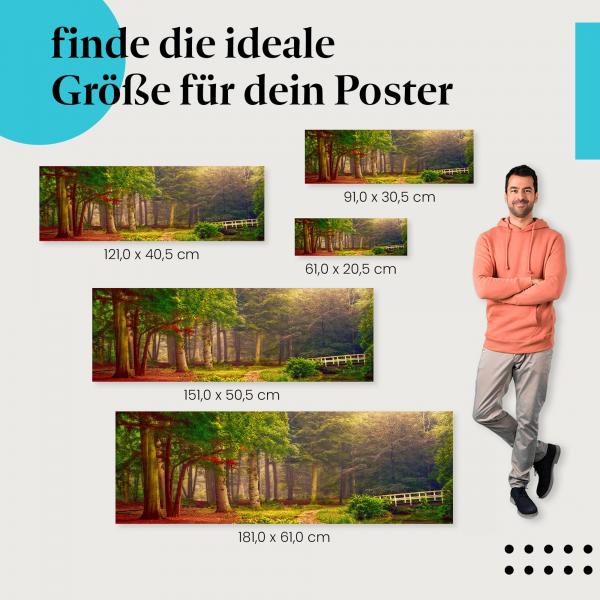 Herbstlicher Waldweg Poster: Herbstliche Natur!