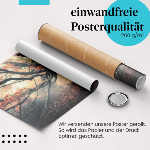 Gerolltes Poster "Herbstwald". Magische Herbststimmung, sicher verpackt.