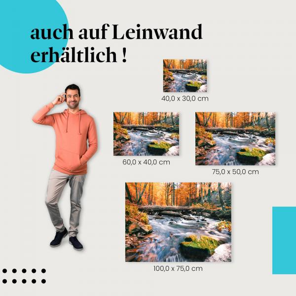 Herbst: Leinwandbild. Fluss, Wald, bunte Blätter.