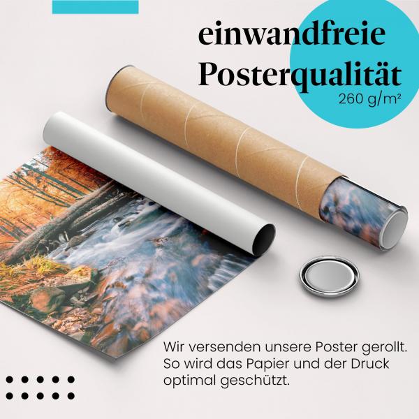 Gerolltes Poster "Herbst am Fluss". Farbenfrohe Natur, sicher verpackt.