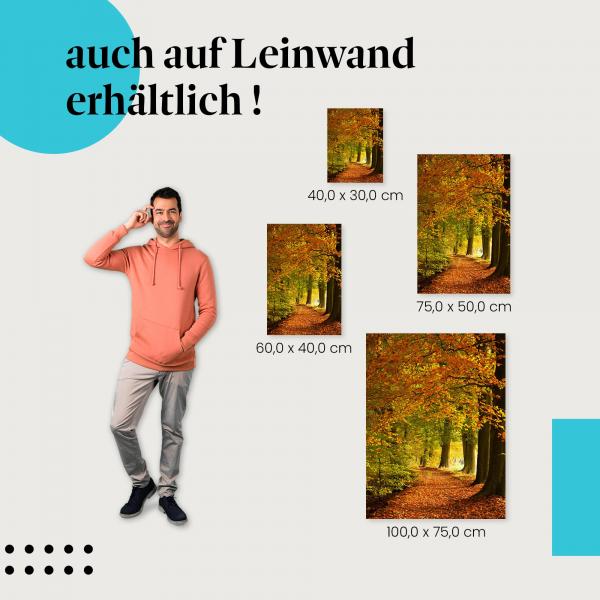 Leinwandbild "Farbenfroher Herbstwald": Herbstlaub & Natur