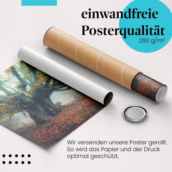 Gerolltes Poster "Herbstwald". Herbststimmung, sicher verpackt.