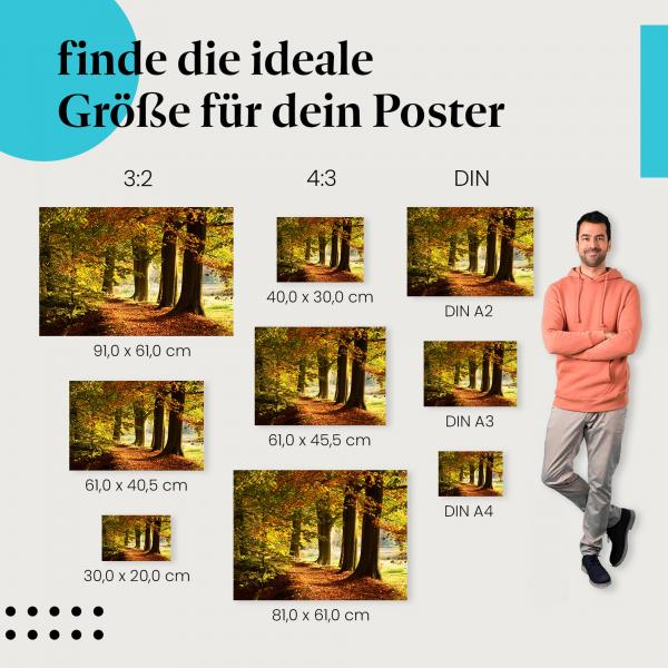 Goldenes Licht im Herbst: "Herbstwald mit Weg" - Poster mit malerischem Waldweg