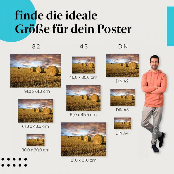 Heuballen bei Sonnenuntergang Poster: Ländliches Flair!