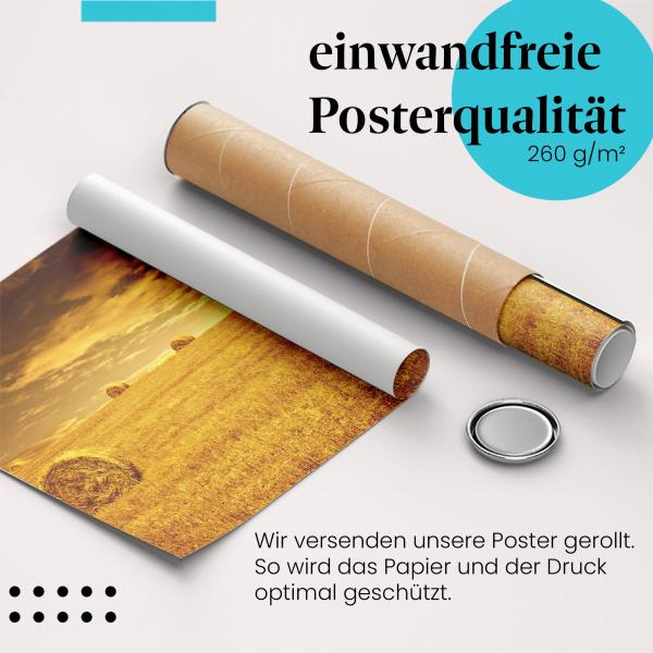 Gerolltes Poster "Heu ernten", goldene Stunde.