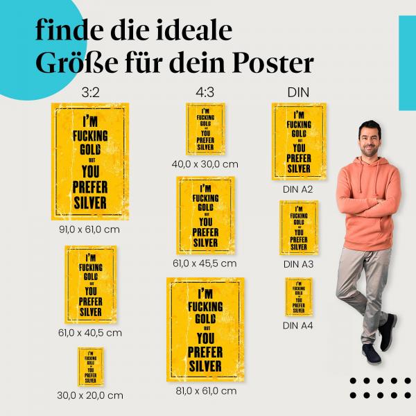 "Ich bin Gold, aber du bevorzugst Silber": Poster - Selbstwertgefühl & Provokation