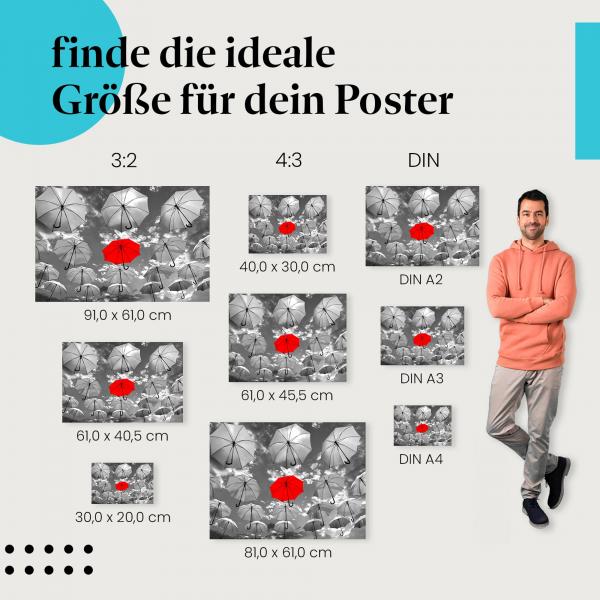 Entdecke die passende Postergröße: Regenschirme, Individualität, roter Schirm.