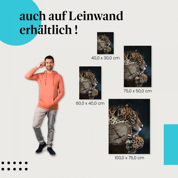 Jaguar: Leinwandbild. Baumstamm, Blick.