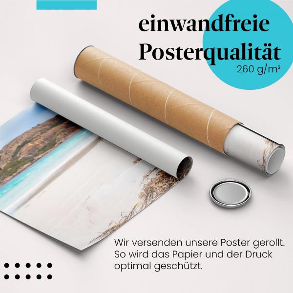 Gerolltes Poster "Känguru am Strand". Exotisches Tier, sicher verpackt.