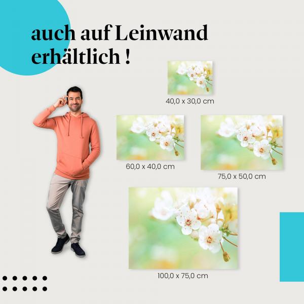 Leinwandbild "Zarte Kirschblüten": Romantik & Schönheit des Frühlings