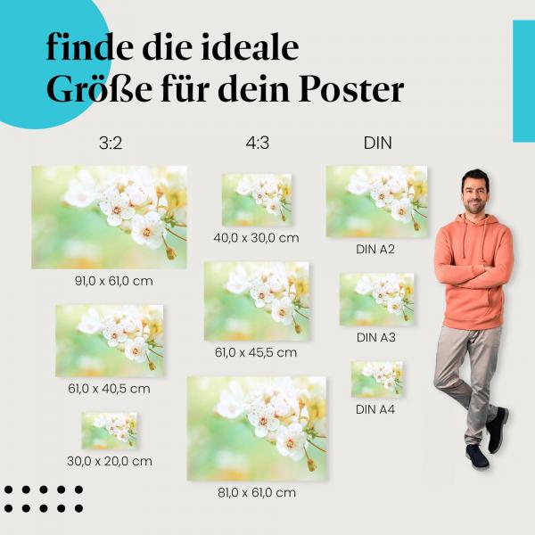 Frühlingsstimmung: Poster "Zarte Kirschblüten" - Weiße Blüten & Pastelltöne