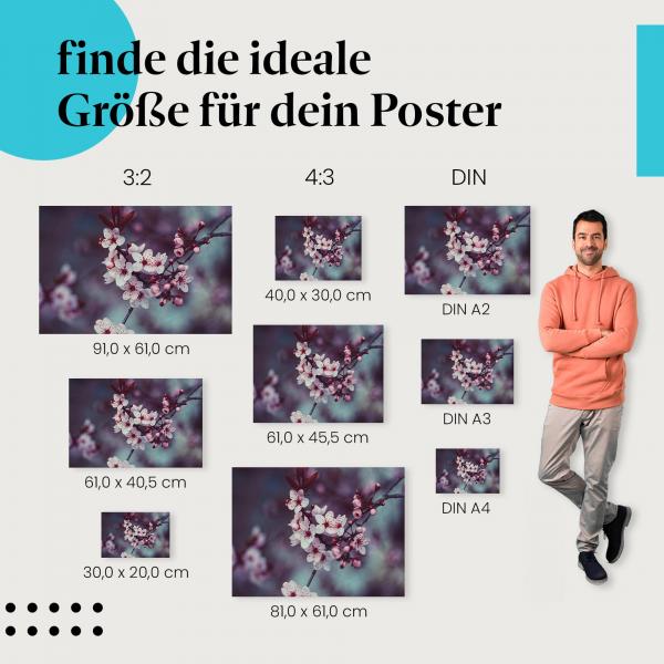 Entdecke die passende Postergröße: Kirschblüten, rosa, Makro, Frühling.