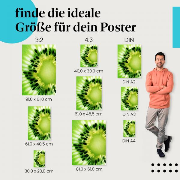 Kiwi Poster: Fruchtige Wanddeko - jetzt Größe wählen!