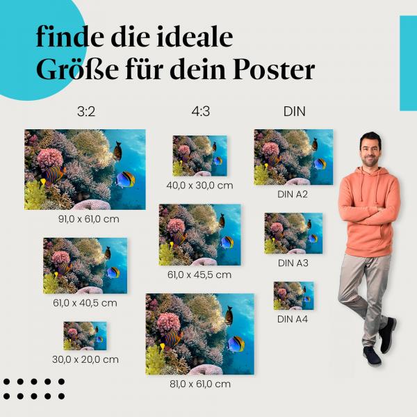 Korallenriff mit Fischen Poster: Unterwasserwelt - jetzt bestellen!